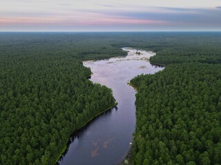 Aerial Photograph of the New Jersey Pine Barrens and Mullica River - obrazy, fototapety, plakaty