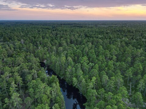 Aerial Photograph of the New Jersey Pine Barrens and Mullica River