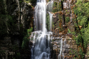 Obraz premium Middle section of Minnamurra Falls, NSW, Australia.
