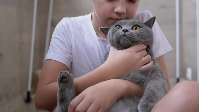 Smile Boy Sit On Floor, Hugs Gray British Cat, Plays. Love to Pet Animals