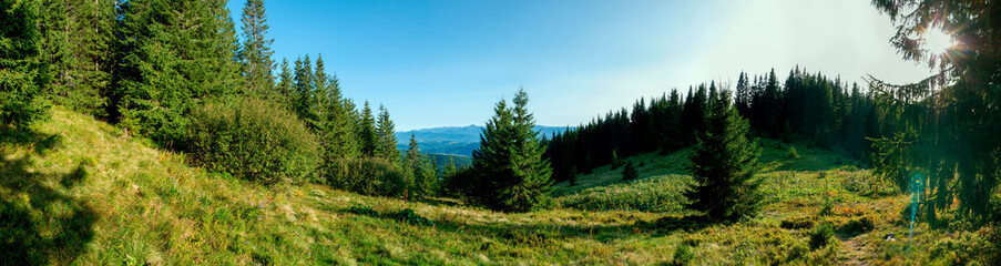 Panorama of a tourist tent on a green meadow on a background of forests and peaks