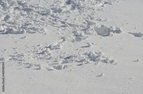 Snow Texture Wall Mural Wallpaper Murals Wallsheaven Virynja