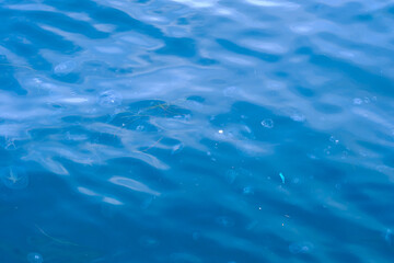 Dirty Sea With Trash and Jellyfishes. Plastic Pollution In Ocean, sea pollution