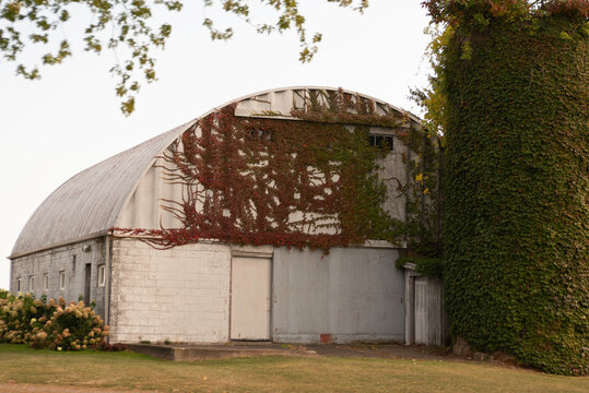 Barn and Cilo