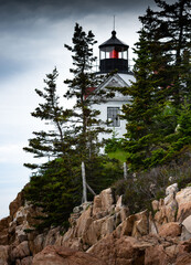 Fototapeta premium Watchful Eye on the Rugged Shore