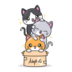 cute cats with different color inside the box