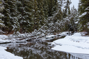 Obraz na płótnie Canvas Banff in winter