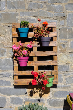 Latticed wooden frame used against the wall to hold multple garden pots with geraniums and other flowers