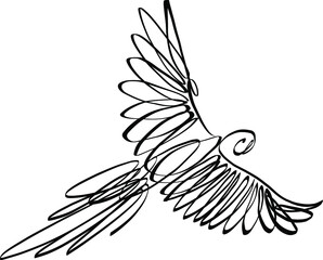 hand drawn illustration of a parrot bird