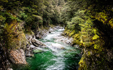 strong river in the forest