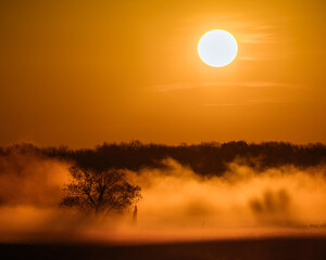 Sunrise in the mist