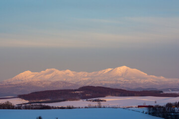 夕映えの雪山と青空　大雪山
