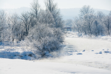 晴れた日の冬の川
