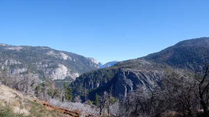 Fototapeta premium Forest and mountain landscape