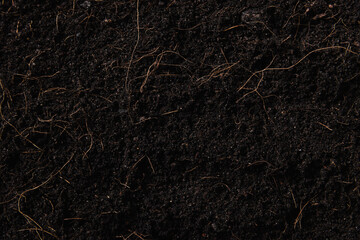 Black land for plant background, Top view of Fresh soil with mulch for gardening texture, World Soil Day concept