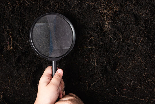 Top View Of Child Hand Hold Magnifying Glass For Check Black Soil At The Garden, Concept Of Global Pollution, Save Earth And World Soil Day