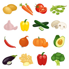 Vector collection of vegetables bean, pumpkin, potato, tomato, mushroom and others. Collection farm product for restaurant menu, market label.