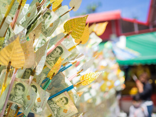 Fototapeta premium Buddhism religion in thailand with thai note banks in tree branch with pho leave on blur image is amazing Thai tradition.