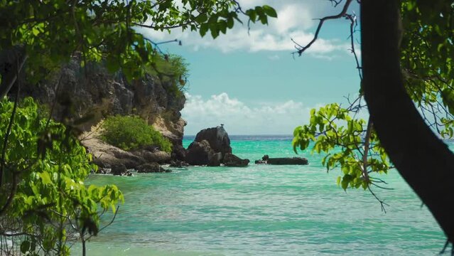 Pelican resting on rocks in the caribbean with crystal clear waters
