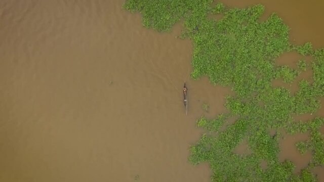 Aerial view of a small indigenous canoe crossing a mound of floating algae in the Orinoco River