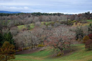 Horses on the Hills in Autumn
