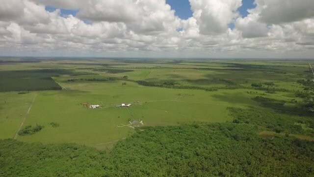 Aerial view of a green savanna and a group of trees with beautiful scattered clouds in the sky