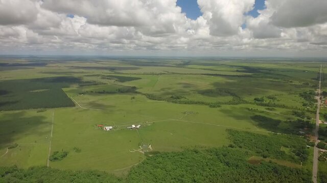 Birdseye view of a green savanna and a group of trees with beautiful scattered clouds in the sky