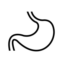 stomach icon vector