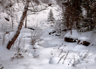 Snow drifts in the forest