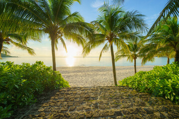 Tropical beach with coconut palm trees in resort