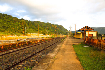 Fototapeta premium train on the bridge