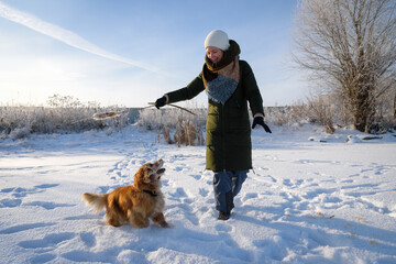 A young woman plays with english cocker spaniel in wintertime, hunting dog and snow.