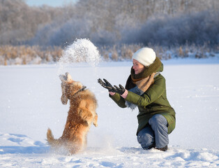 A young woman plays with english cocker spaniel in wintertime, hunting dog and snow.