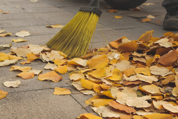 autumn concept. cleaning fallen leaves