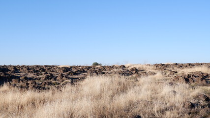 Autumn in the mountains and trees