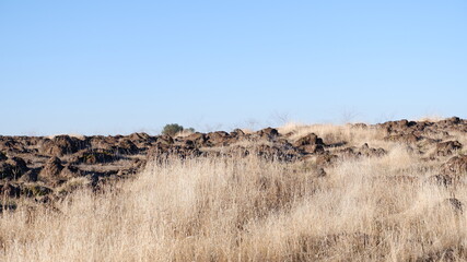 Autumn in the mountains and trees