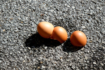 Egg shells on road tar