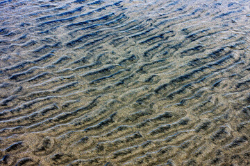 ripples in the sand