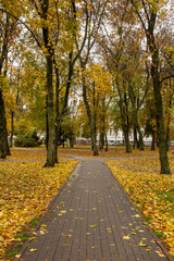 Fototapeta premium Path with autumn leaves in the old park