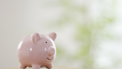 豚の貯金箱に小銭を入れる女性の手