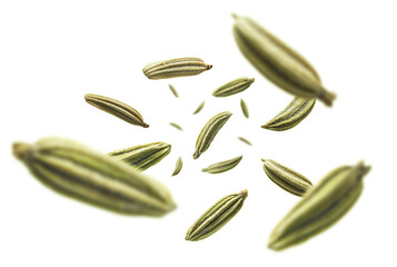 Fennel seeds levitate on a white background