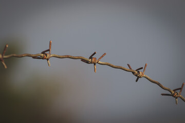 barbed wire, metal chain with spike for the fence for the safety and security purpose
