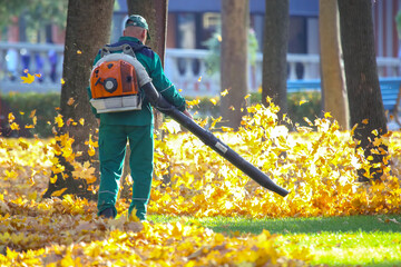 Working in the Park removes leaves with a blower