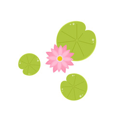 Lily pad pattern. wallpaper. free space for text. Lotus flower. © Supakorn
