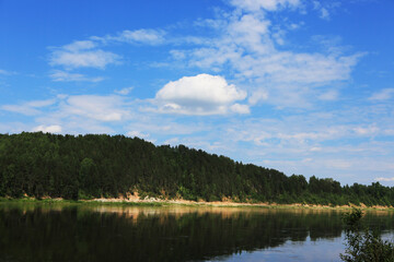 Blue water in a forest lake with pine trees