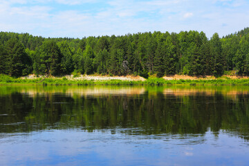 Blue water in a forest lake with pine trees