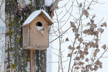 Bird house hanging on a tree. Snow and frost on the roof. Caring for birds in winter.