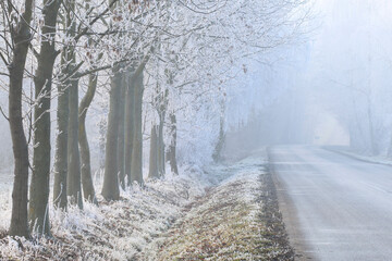 A road through the winter forest. Misty landscape.