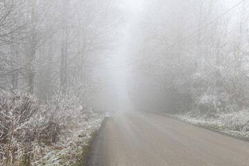 A road through the winter forest. Misty landscape.