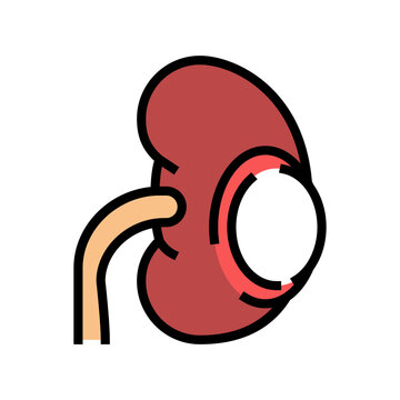 Renal Cyst Color Icon Vector. Renal Cyst Sign. Isolated Symbol Illustration